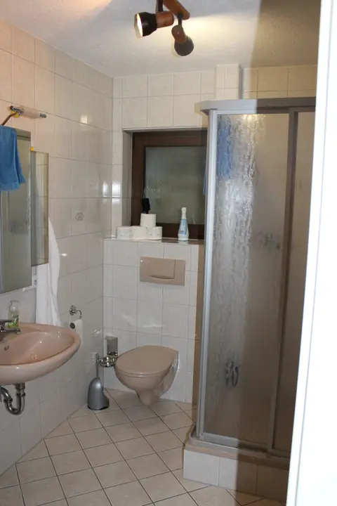 Exklusive 4,5-Zimmerwohnung über 2 Ebenen mit 2 Terrassen, Garten, Garage und 2 Stellplätzen in Adersbach, Sinsheim, Foto 15 von 25