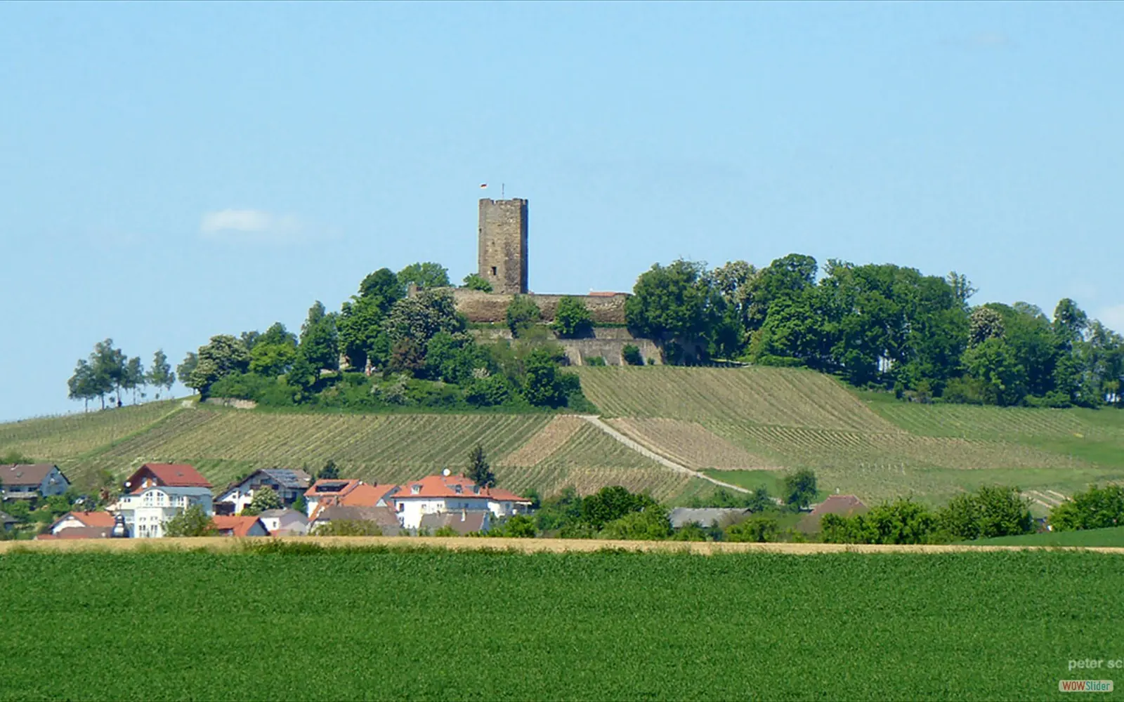Burg Steinsberg über den Weinbergen bei Sinsheim
